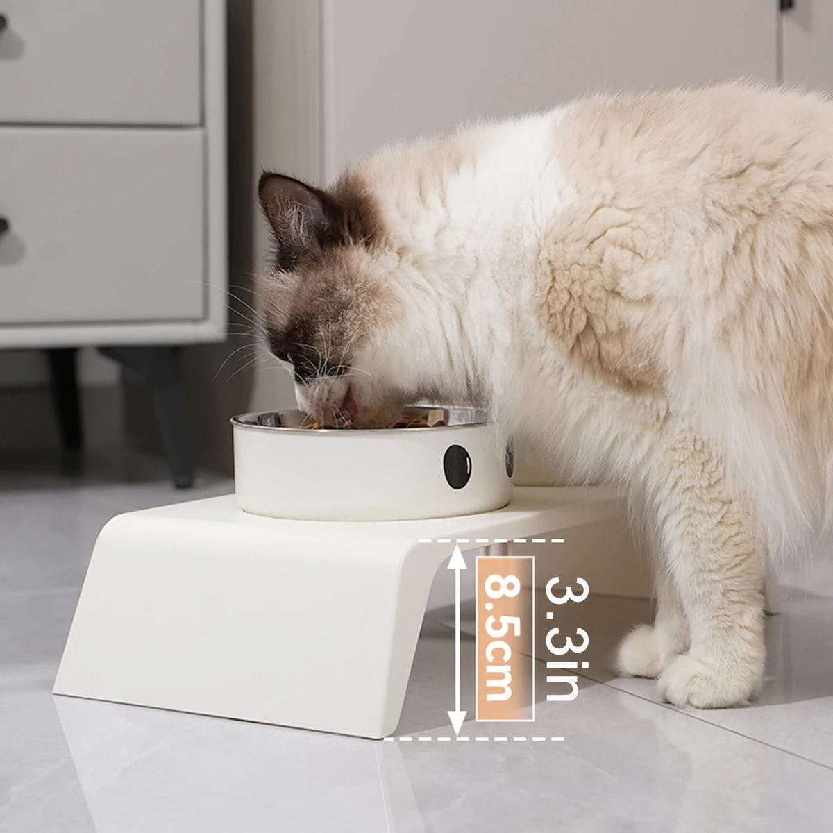 Elevated Pet Dog Feeder Bowls Raised Stand with Double Stainless Steel Food Water Bowls for Small Medium Large Dogs Cats