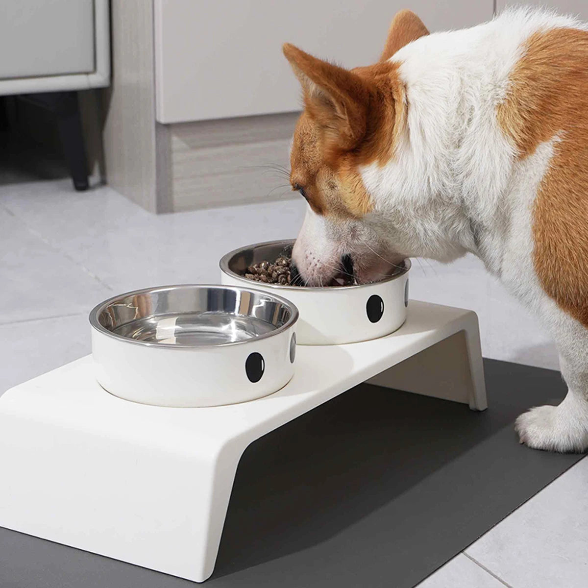 Elevated Pet Dog Feeder Bowls Raised Stand with Double Stainless Steel Food Water Bowls for Small Medium Large Dogs Cats
