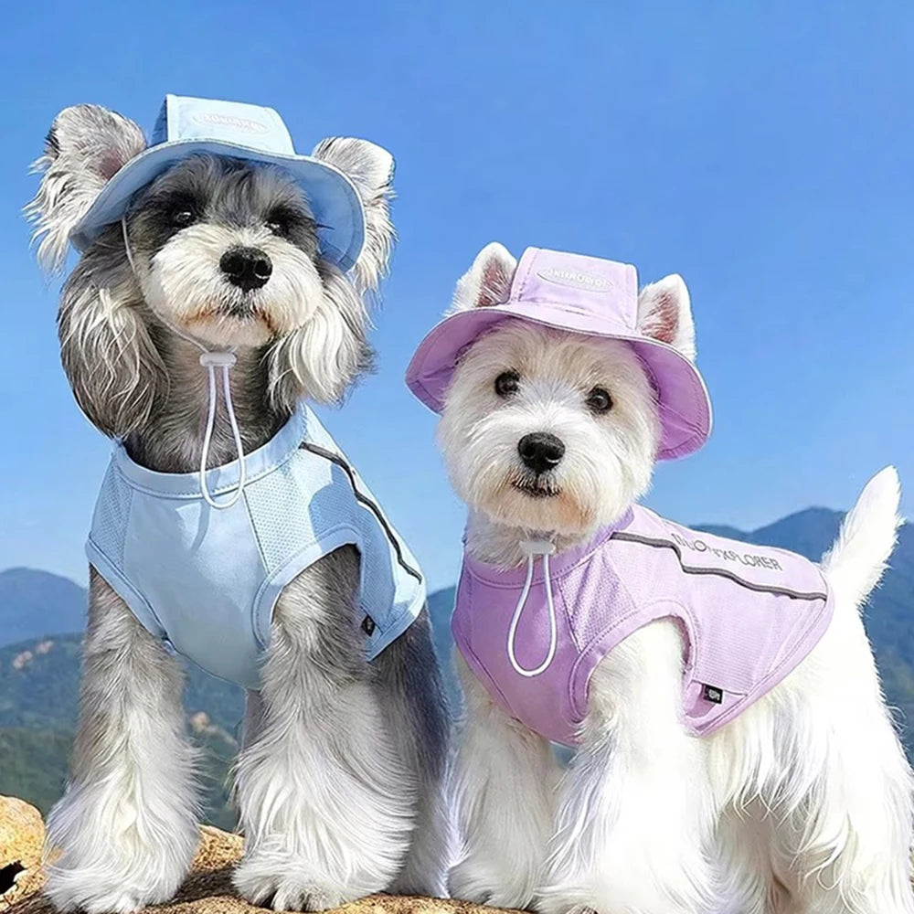 Pet Dog Summer Cooling Vest with Cap Breathable Mesh Sun Protective Shirt for Dogs&Cats，Lightweight Outdoor Pet Clothes Set